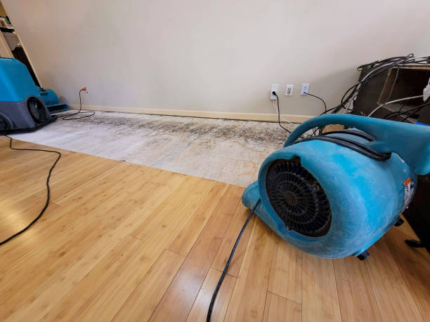 Professional Ceiling Water Damage Repair technician working in Preston, MN